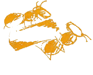 Les Fourmis sous la Bûche